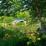 Auch die berühmte Brücke von Claude Monet hat ihren Ursprung in japan. (Foto: PublicDomainPictures / pixabay)
