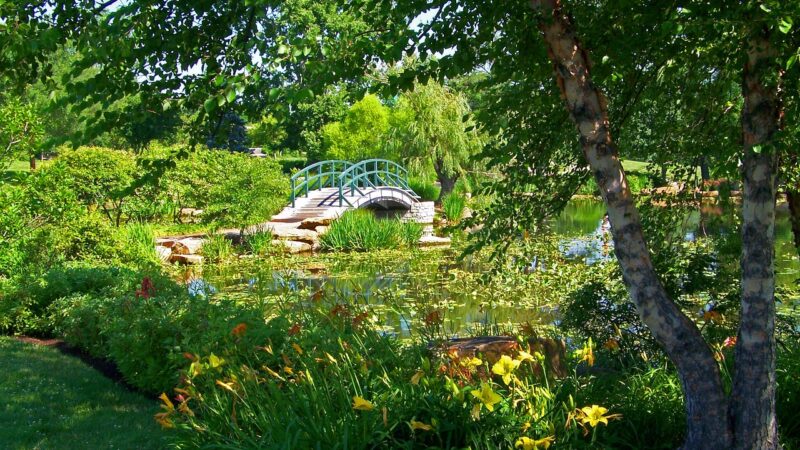 Claude Monets Begeisterung für Japan